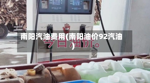 南阳汽油费用(南阳油价92汽油)-第1张图片