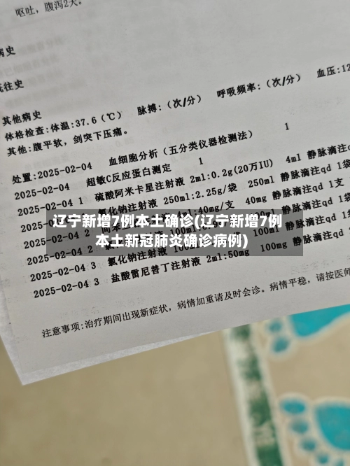 辽宁新增7例本土确诊(辽宁新增7例本土新冠肺炎确诊病例)-第1张图片