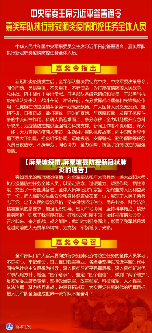 【麻栗坡疫情,麻栗坡县防控新冠状肺炎的通告】-第2张图片