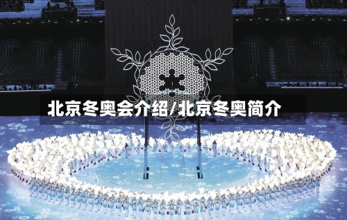 北京冬奥会介绍/北京冬奥简介-第1张图片