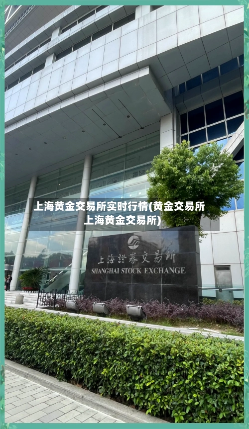 上海黄金交易所实时行情(黄金交易所上海黄金交易所)-第1张图片