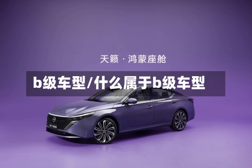 b级车型/什么属于b级车型-第3张图片