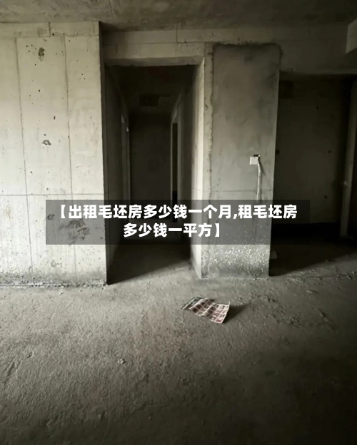 【出租毛坯房多少钱一个月,租毛坯房多少钱一平方】-第1张图片