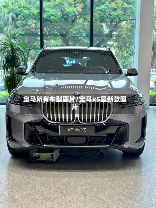 宝马所有车型图片/宝马x5最新款图片-第3张图片
