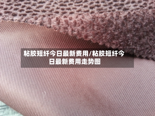 粘胶短纤今日最新费用/粘胶短纤今日最新费用走势图-第2张图片