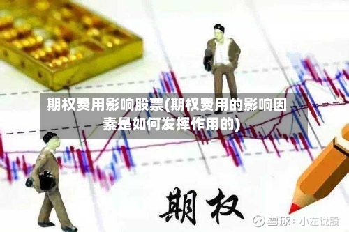 期权费用影响股票(期权费用的影响因素是如何发挥作用的)