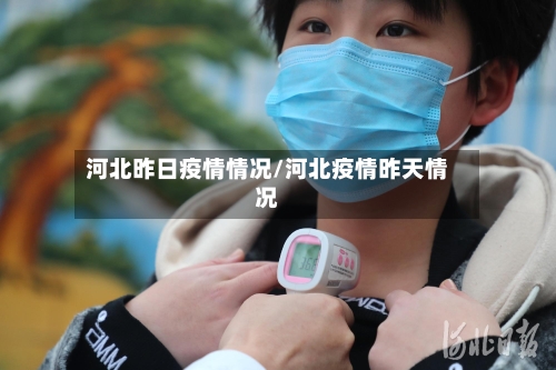 河北昨日疫情情况/河北疫情昨天情况-第2张图片