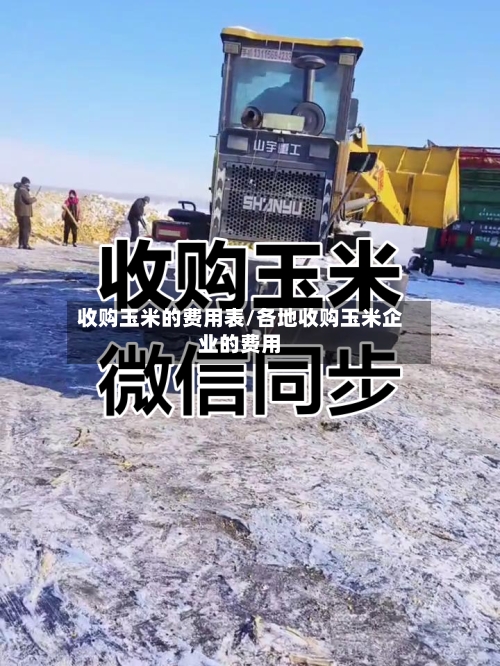 收购玉米的费用表/各地收购玉米企业的费用