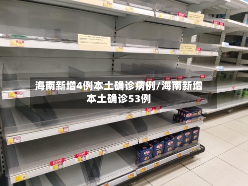 海南新增4例本土确诊病例/海南新增本土确诊53例