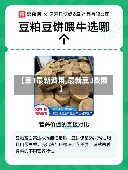 【豆1最新费用,最新豆粨费用】-第2张图片