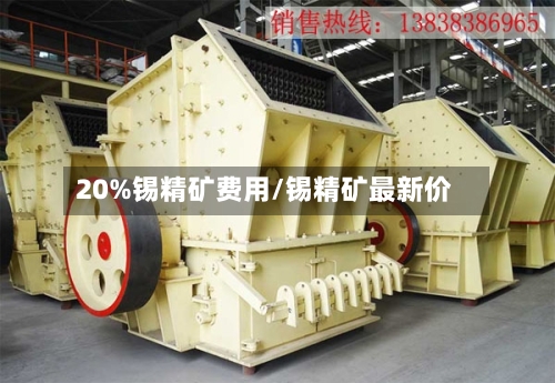 20%锡精矿费用/锡精矿最新价