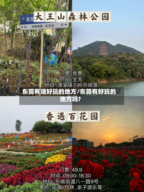 东莞有啥好玩的地方/东莞有好玩的地方吗?-第2张图片