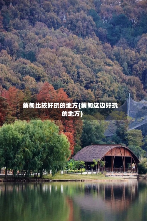 蔡甸比较好玩的地方(蔡甸这边好玩的地方)