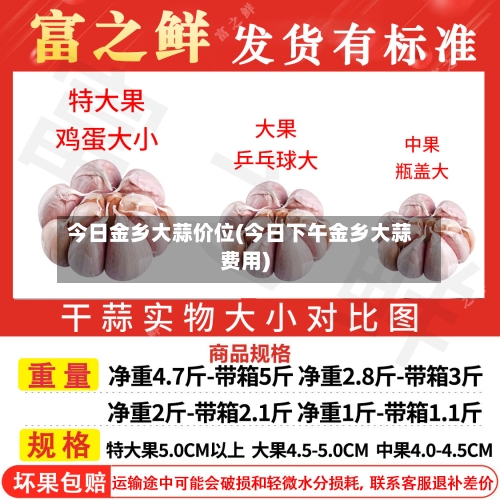 今日金乡大蒜价位(今日下午金乡大蒜费用)-第3张图片