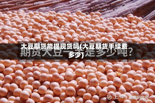 大豆期货能提现货吗(大豆期货手续费多少)-第1张图片
