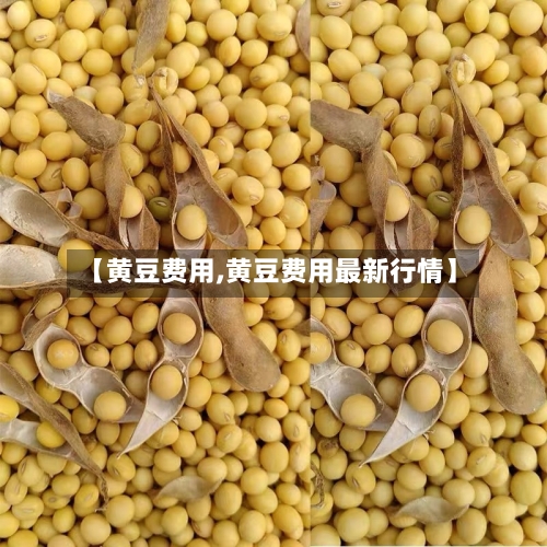 【黄豆费用,黄豆费用最新行情】-第1张图片