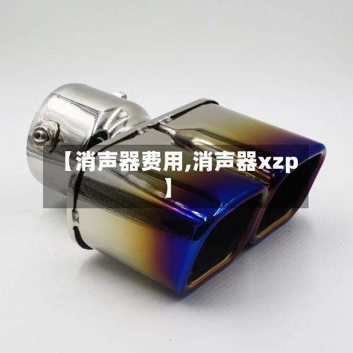 【消声器费用,消声器xzp】-第1张图片