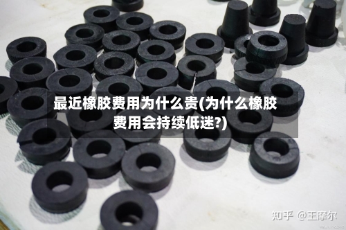 最近橡胶费用为什么贵(为什么橡胶费用会持续低迷?)-第1张图片