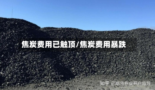 焦炭费用已触顶/焦炭费用暴跌-第3张图片