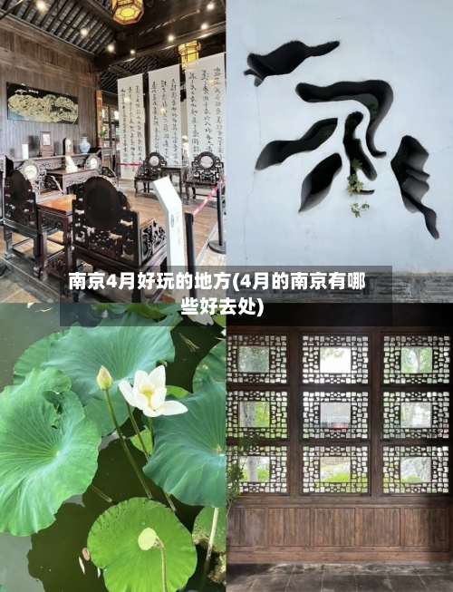 南京4月好玩的地方(4月的南京有哪些好去处)-第2张图片