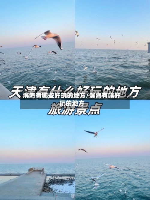 滨海有哪些好玩的地方/滨海有啥好玩的地方-第1张图片