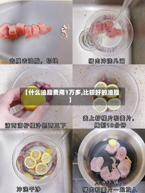 【什么油脂费用1万多,比较好的油脂】-第1张图片