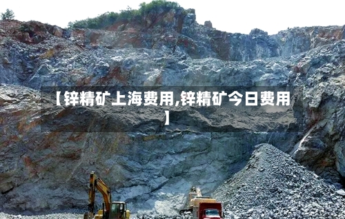 【锌精矿上海费用,锌精矿今日费用】-第3张图片
