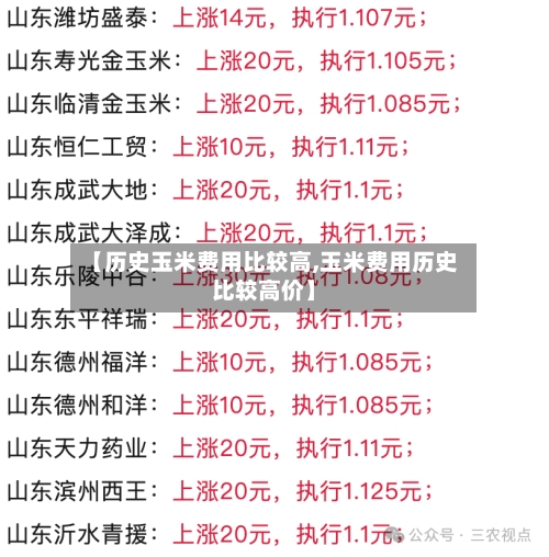 【历史玉米费用比较高,玉米费用历史比较高价】-第2张图片
