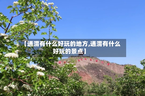 【通渭有什么好玩的地方,通渭有什么好玩的景点】-第1张图片