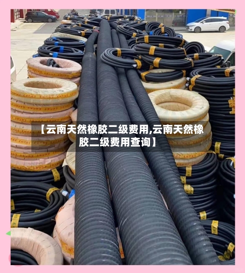 【云南天然橡胶二级费用,云南天然橡胶二级费用查询】-第2张图片