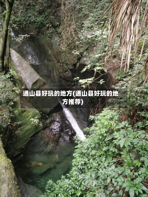 通山县好玩的地方(通山县好玩的地方推荐)-第2张图片