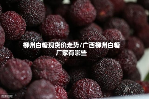 柳州白糖现货价走势/广西柳州白糖厂家有哪些-第1张图片