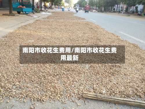 南阳市收花生费用/南阳市收花生费用最新-第2张图片