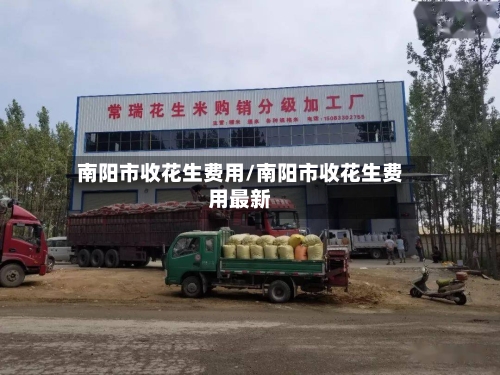 南阳市收花生费用/南阳市收花生费用最新-第1张图片