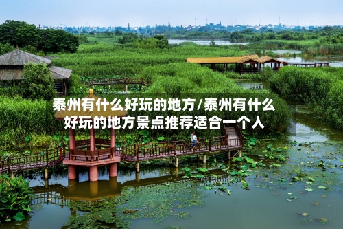 泰州有什么好玩的地方/泰州有什么好玩的地方景点推荐适合一个人-第2张图片