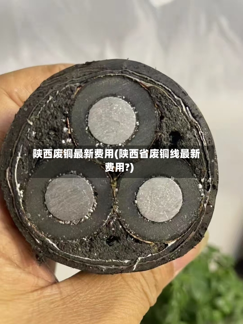 陕西废铜最新费用(陕西省废铜线最新费用?)-第1张图片
