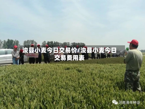 浚县小麦今日交易价/浚县小麦今日交易费用表-第1张图片