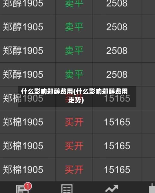 什么影响郑醇费用(什么影响郑醇费用走势)-第3张图片