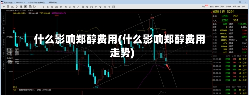 什么影响郑醇费用(什么影响郑醇费用走势)-第2张图片