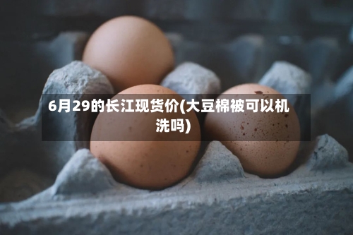 6月29的长江现货价(大豆棉被可以机洗吗)-第3张图片