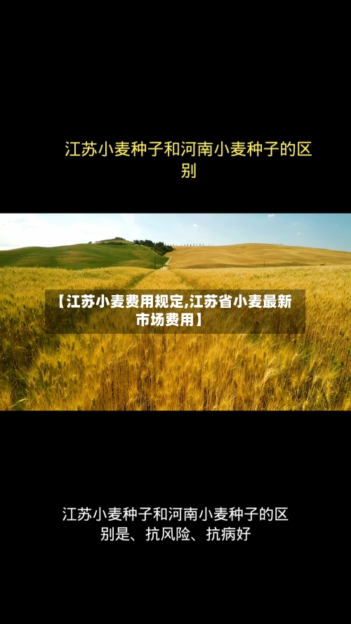 【江苏小麦费用规定,江苏省小麦最新市场费用】-第3张图片