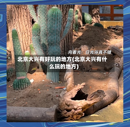 北京大兴有好玩的地方(北京大兴有什么玩的地方)-第2张图片