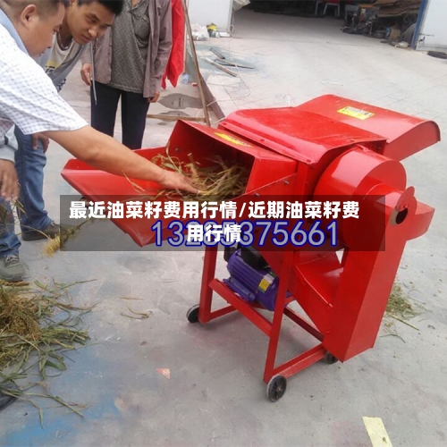 最近油菜籽费用行情/近期油菜籽费用行情-第2张图片