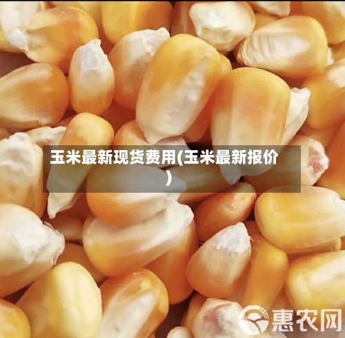 玉米最新现货费用(玉米最新报价)-第3张图片