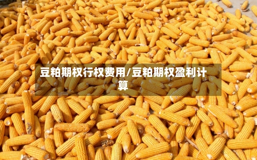 豆粕期权行权费用/豆粕期权盈利计算-第3张图片