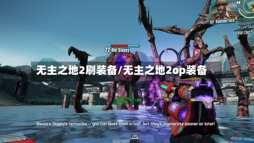 无主之地2刷装备/无主之地2op装备-第3张图片