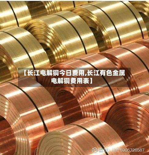 【长江电解铜今日费用,长江有色金属电解铜费用表】-第2张图片