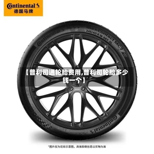 【普利司通轮胎费用,普利司轮胎多少钱一个】-第2张图片