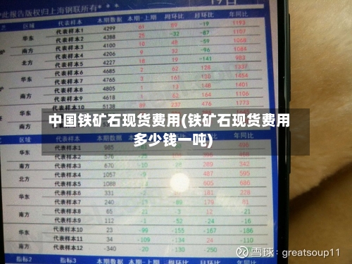 中国铁矿石现货费用(铁矿石现货费用多少钱一吨)-第3张图片