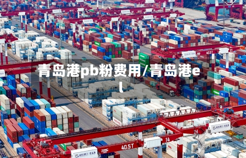 青岛港pb粉费用/青岛港el-第2张图片